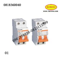 Aptomat Cài 2 Cực 40A 50A Sino MCB-2P