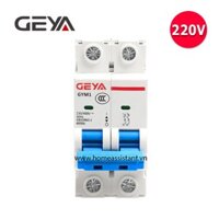 Aptomat Cầu Dao Bảo Vệ Quá Dòng Chập Mạch 1 Pha 2P DZ47 Geya GYM01