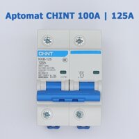 Aptomat CHINT NXB-125 100A 125A bộ ngắt mạch CB tép MCB 2P