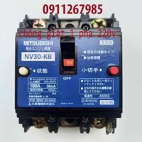 Aptomat chống giật 100A. dòng rò 30mA 220v-cb chống giật -attomat,cầu dao tự động, chống rò,nhật bãi