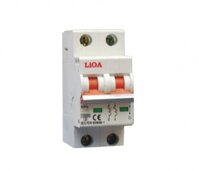 Aptomat dòng 4.5 loại 2 cực (10A)