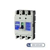 Aptomat khối lớn MCCB Shihlin BM 250-SN 3P 175A 30kA