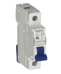 Aptomat MCB 1P 80A S1D180