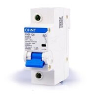 Aptomat - MCB 1P NXB-125 125A dòng cắt 10ka - chint