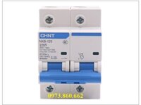 APTOMAT MCB 2P 100A CHINT NXB-125 C100 10KA