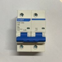 Aptomat MCB 2P 125A/100A/80A NXB-125 hãng Chint dòng cắt 10kA, attomat 2Pha hàng chính hãng