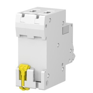 Aptomat - MCB Schneider 2P 50A 4,5kA EZ9F34250