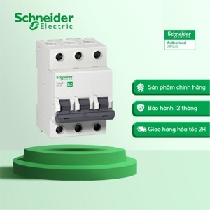 Aptomat - MCB Schneider 3P 16A 4,5kA EZ9F34316