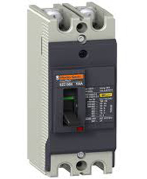 Aptomat - MCCB Schneider 2P 20A 50kA EZC100H2020