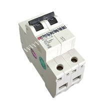 Aptomat tép Mitsubishi 2P 40A BH-D6 2P 40A TYPE C N