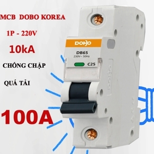 Aptomat thường 100A DOBO DZ47-881001P