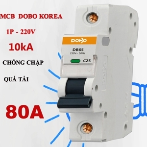 Aptomat thường 80A DOBO DZ47-88801P
