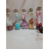 ❤️Quà tặng❤️ Lọ thủy tinh Hoa Khô decor
