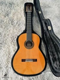 Aria AC-80 CD _ All solid Made in Spain