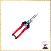 ARS Corporation Fruit Thinning Scissors, Extra Long Type, Stainless Steel (Blister Pack) 300LL-DX-BP