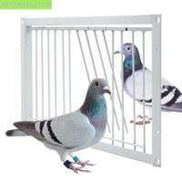 Artisanley Bồ Câu Cửa Vào, Bẫy Lối Vào Đơn Pigeon Loft Door, Chim Bắt Lồng Có Thể Tháo Rời 30 / 40x26cm Bẫy Cửa Lồng Chim