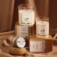 ASAYA-Candle Cup- Nến thơm mùi hoa nhài- Jasmint Candle/Fresh/Cool/Floral/Lush- Thanh mát/Nhẹ nhàng- Thuần Nông
