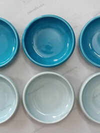 【ASDH】 Chén ăn bằng sứ cho bò sát.Ốc mượn hồn Biên Hòa