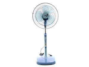 Quạt cây - đứng Asia D16010 - 55W