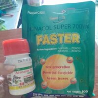 ASTRO-FASTER- ĐÁNH BAY CHÁY LÁ,THÁN THƯ(Azoxytrobin+difenconazole+probineb)(chế phẩm trừ bệnh cây trồng)