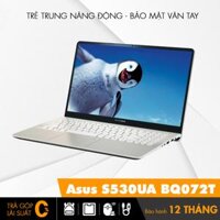 Asus S530UA BQ072T