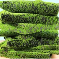 Asvn❤ Thảm Cỏ Rêu Nhân Tạo 100 * 100cm Trang Trí Nhà Cửa