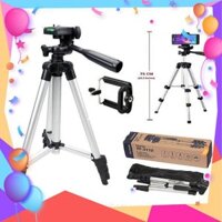 AT Chân máy ảnh, Gậy chụp hình 3 chân dùng livestream - Tripod TF3110