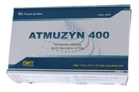 ATmuzyn 400