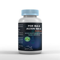 ATP Farm : PGR K - IBA Auxin K-IBA dạng nước pha sẵn, siêu kích rể cành giâm cành chiết, phôi gỗ lâu năm,tăng  chồi ngọn