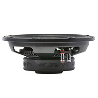 Audio Legion SF10D4 | 10" 800 Watt Shallow Mount Car Subwoofer - Dual 4 Ohm