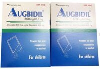 Augbidil 500mg (Amoxicillin và clavulanat) – Thuốc điều trị nhiễm khuẩn của Bình Định