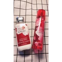 [Auth] JAPANESE CHERRY BLOSSOM xịt thơm nước hoa toàn thân BATH AND BODY WORKS 236ml ( hàng Mỹ chính hãng có bill)