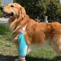 Autumn and Winter Dog Elbow Pad Clothes Golden Retriever Samo Labrador Pet Anti-Dirty Artifact Knee Pad out Bone Protection uZIR