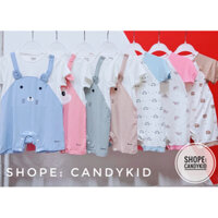 [Avaler]Body cộc tay .