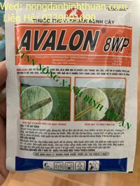 Avalon 8WP ĐẶC TRỊ THỐI TRÁI THANH LONG