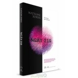 Ngày 210
