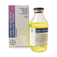 AVELOX 400MG/250ML – Dịch truyền viêm phổi hiệu quả của Đức