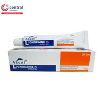 Axcel Lignocaine 2% Sterile Gel