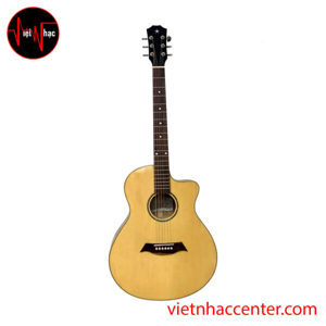 Đàn Guitar Ayers Acoustic ACSM