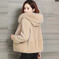 Azla SednaEarfit Standard