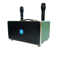 AZPro AZ-D336 Loa xách tay du lịch công xuất lớn