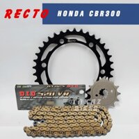 B4 [ 520VR CBR 300 PKL ] NHÔNG SÊN DĨA HONDA CBR 300 RECTO - SÊN DID 520 O-RING ĐEN HOẶC VÀNG ( 14Tx36T )