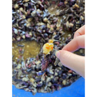 Ba Khía Trộn Sẵn Vừa Ăn ( Loại 1 ) thương hiệu Khô Gà Bà Già