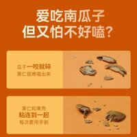 Ba quả trứng béo hạt bí ngô Hương vị Hạt bí ngô Hạt giống Băng-Spice đóng hộp trong cắm trại bên tr