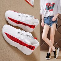 Ba ta chất thun độn 3 phân