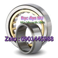 Bạc Đạn ĐŨA SKF NU211-NU212-NU213-NU214-NU215-NU216-NU217