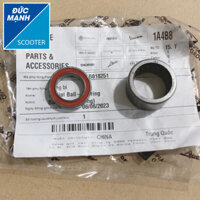 Bạc đạn nồi, Bi buly côn Piaggio - Vespa 3v, 3v iget ( Sprint Primavera, Liberty, Lx, GT…) cao cấp chính hãng.