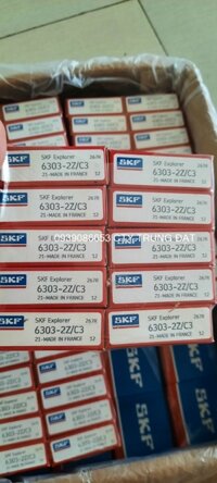 Bạc đạn SKF 6303-vòng bi 6303 47x14x17