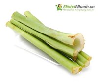 Bạc hà (Dọc mùng)