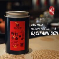 Bạch Anh Sơn Dã Sinh Hồng Trà - cây 300 năm